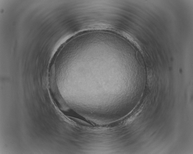X0000068321085200605051550