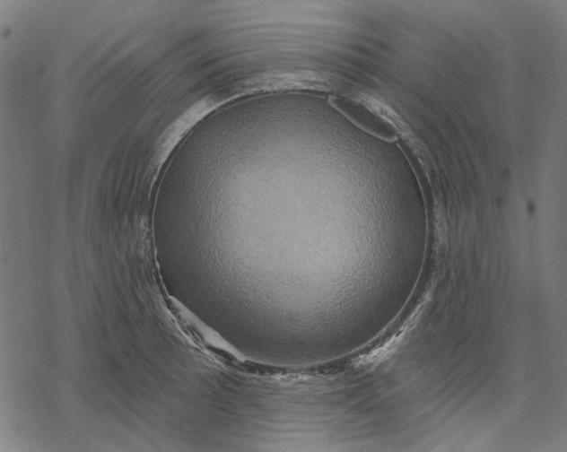 X0000068321089200605051550