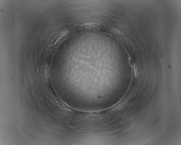 X0000068321107200605051549