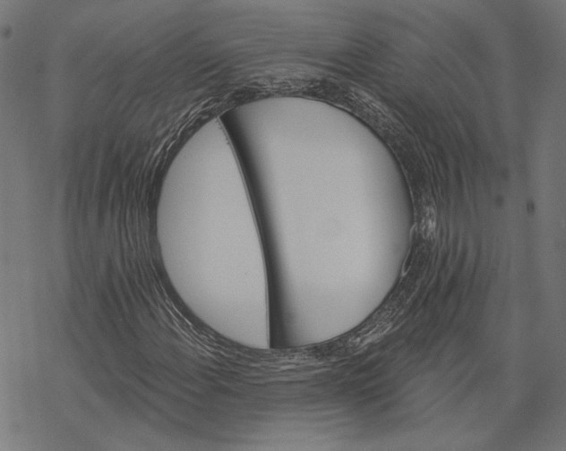 X0000068321108200605051549