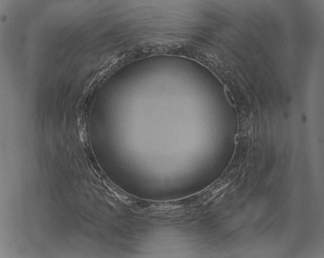 X0000068321109200605051549