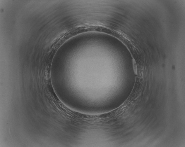 X0000068321110200605051549