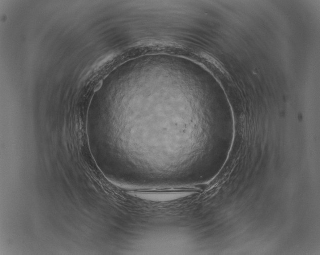X0000068321111200605051549