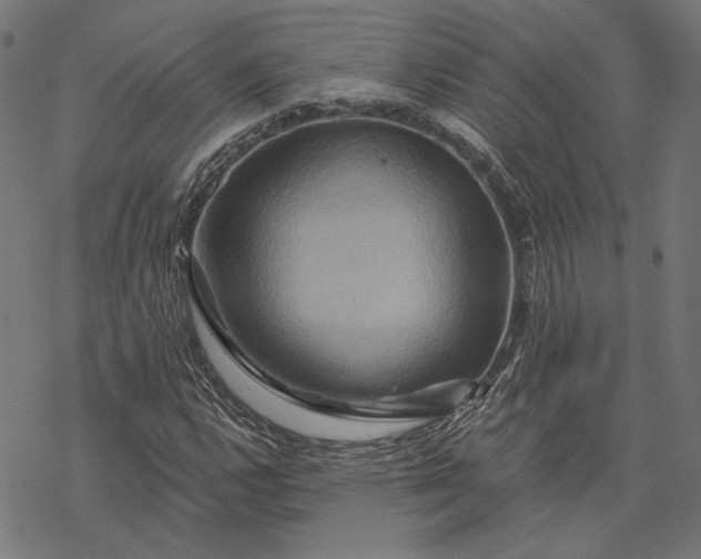 X0000068321112200605051549