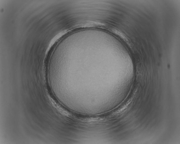 X0000068321122200605051549
