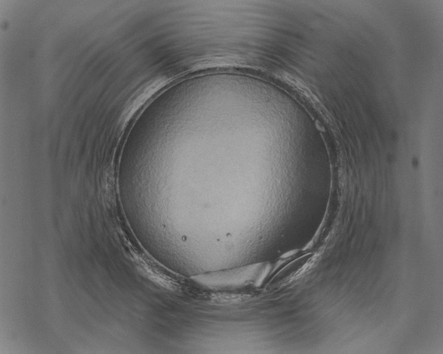 X0000068321129200605051549