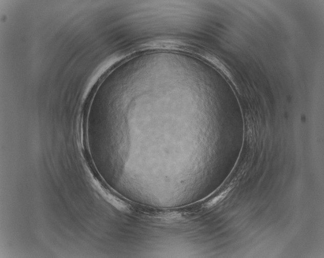 X0000068321131200605051549
