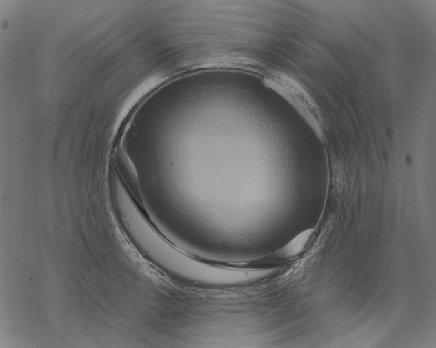 X0000068321138200605051549