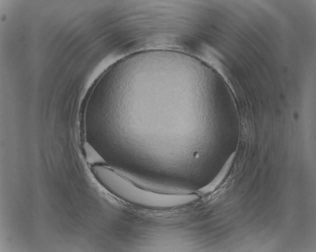 X0000068321147200605051550