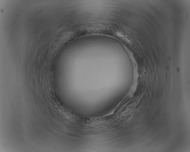X0000068321153200605051549