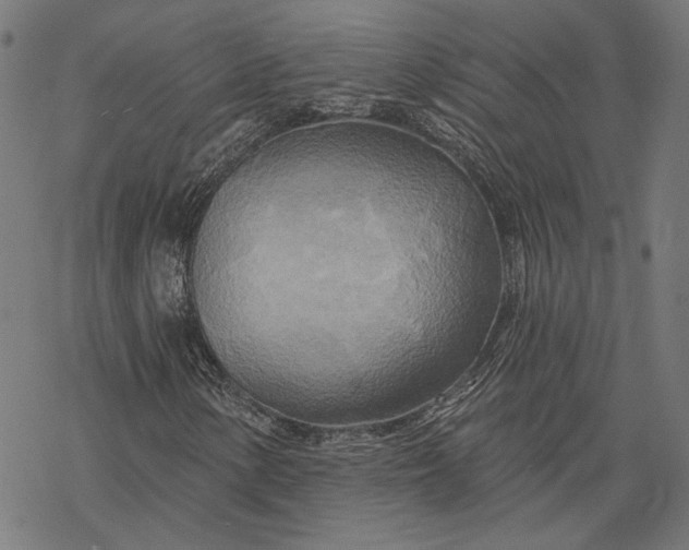 X0000068321154200605051549
