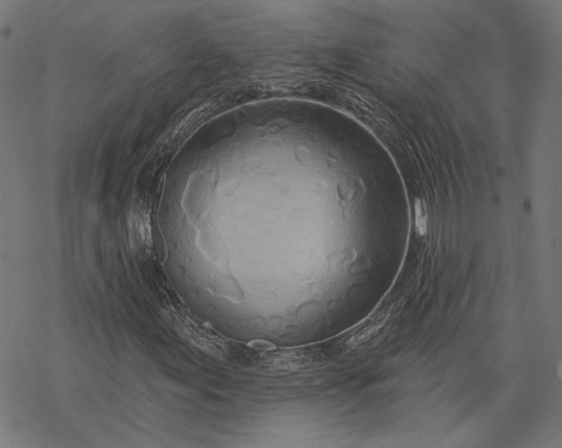 X0000068321155200605051549