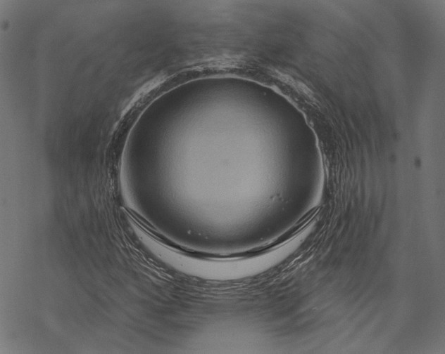 X0000068321160200605051549