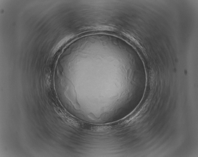 X0000068321163200605051549