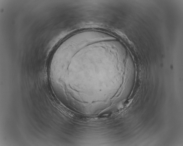 X0000068321167200605051549