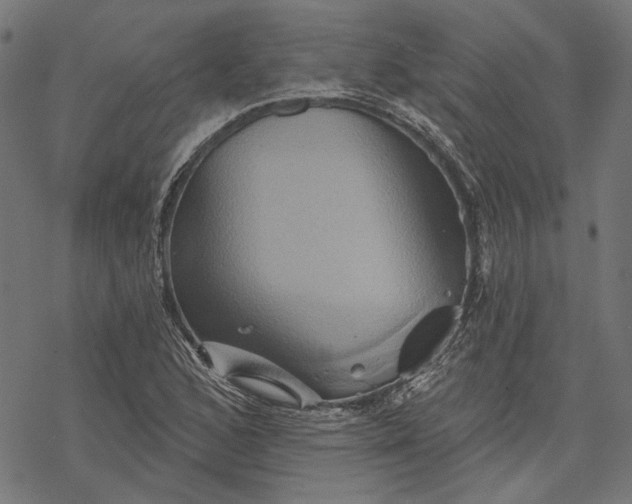 X0000068321168200605051549