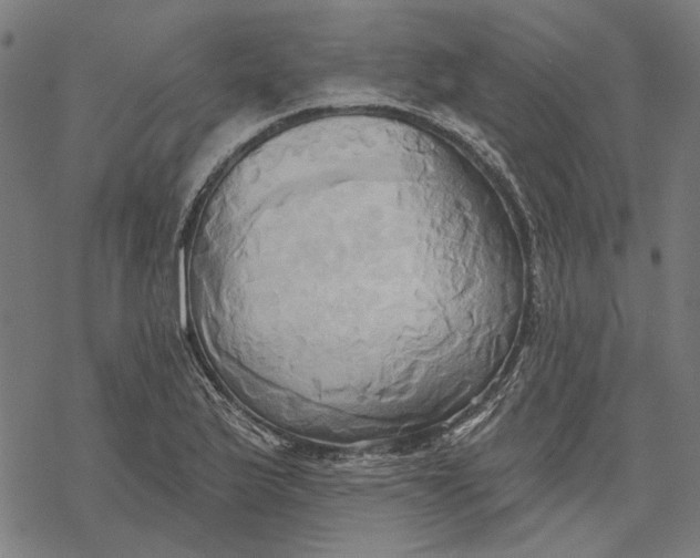 X0000068321175200605051549