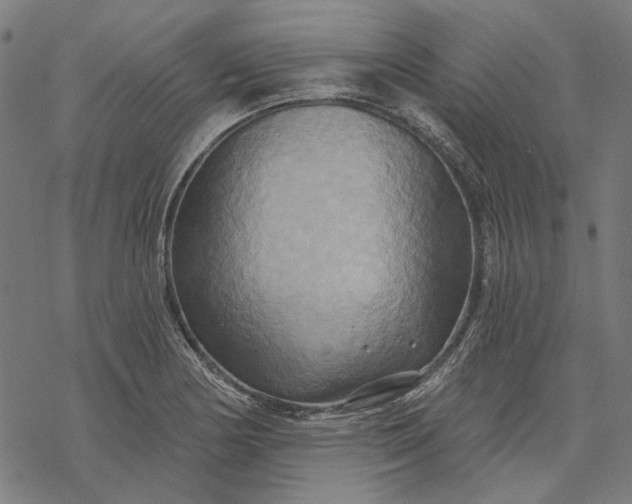 X0000068321178200605051549