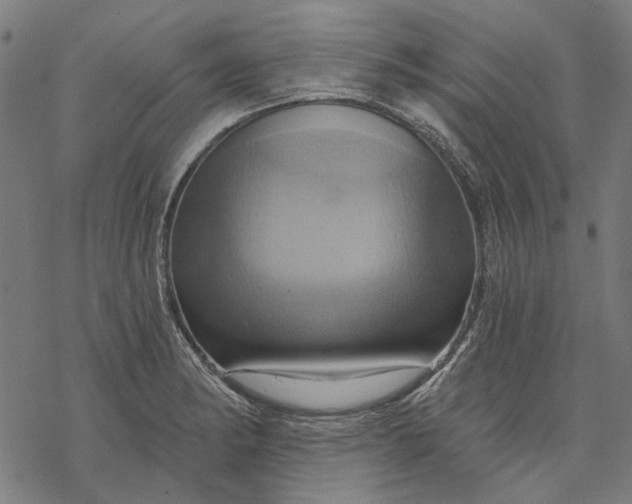 X0000068321182200605051548