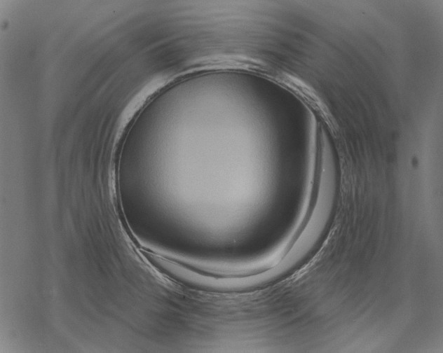 X0000068321188200605051548