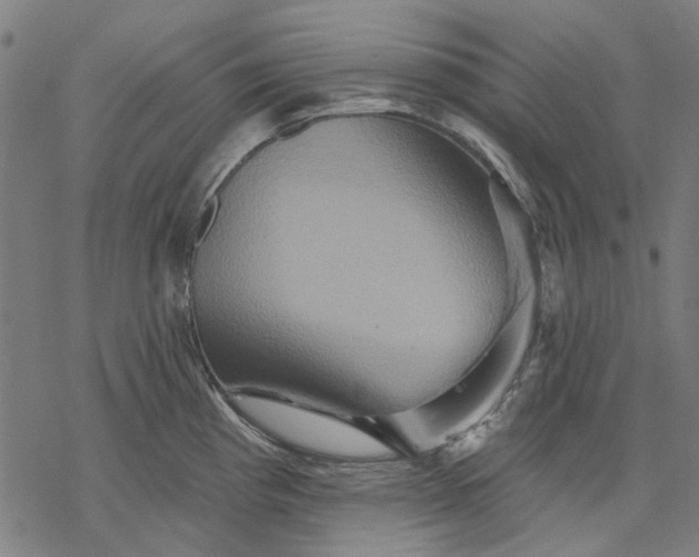 X0000068321193200605051548