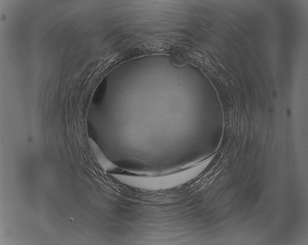 X0000068321201200605051547