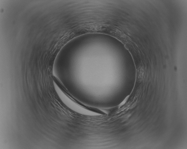 X0000068321202200605051547