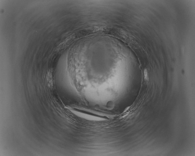 X0000068321203200605051547