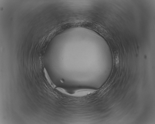 X0000068321204200605051547