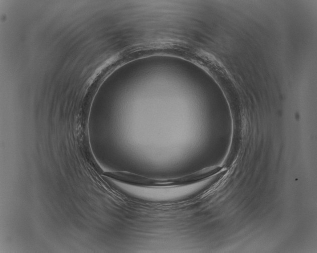X0000068321210200605051548