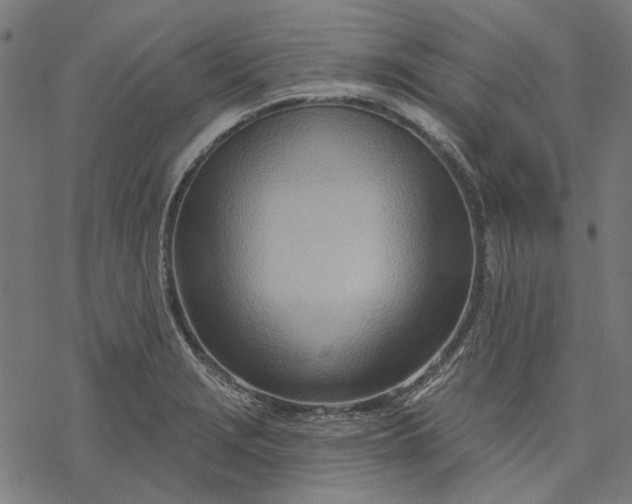 X0000068321229200605051548
