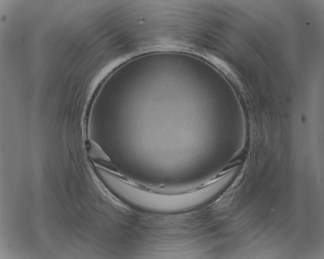 X0000068321238200605051548