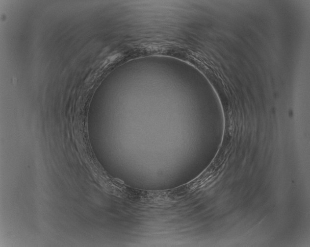 X0000068321249200605051547