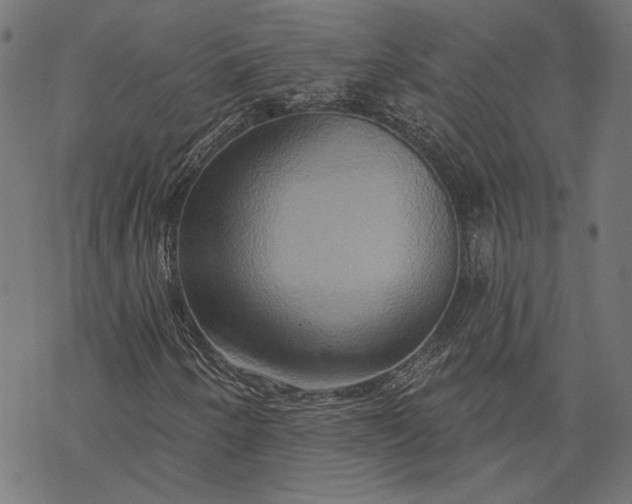 X0000068321250200605051547