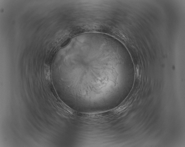 X0000068321251200605051547