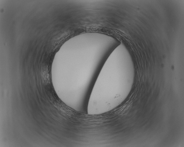 X0000068321252200605051547