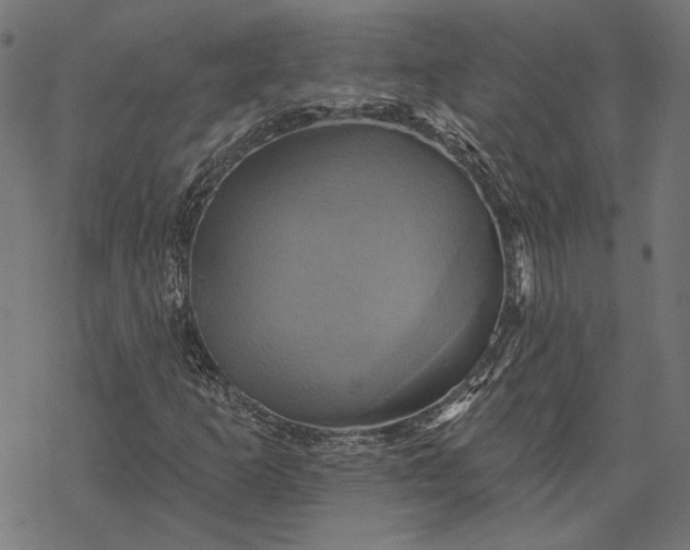 X0000068321253200605051547