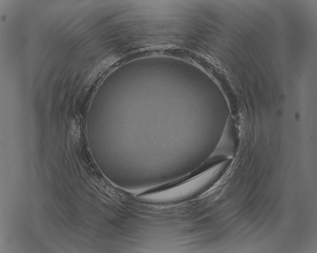 X0000068321257200605051547
