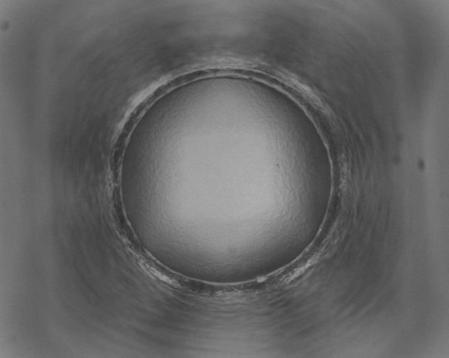 X0000068321264200605051547
