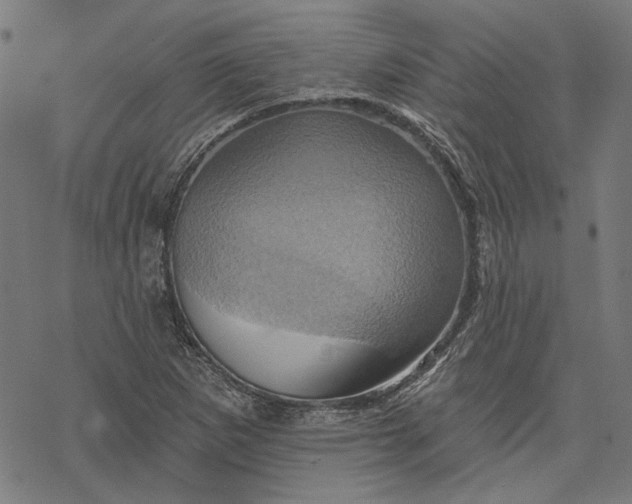 X0000068321265200605051547