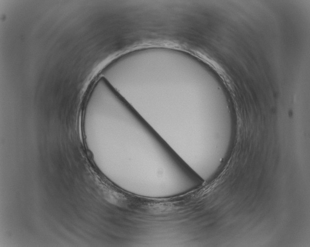 X0000068321272200605051547