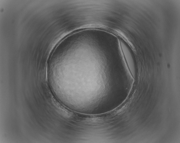 X0000068321276200605051547