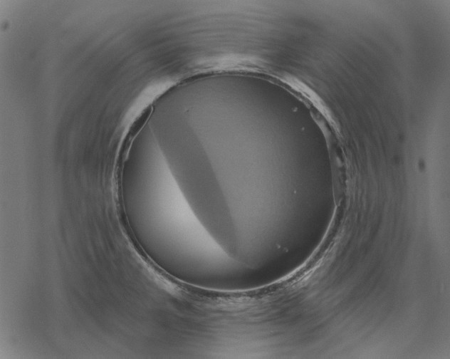 X0000068321285200605051547