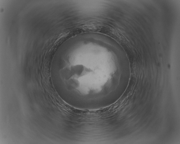 X0000068321297200605051546