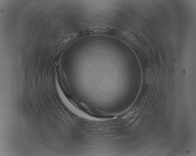 X0000068321298200605051546