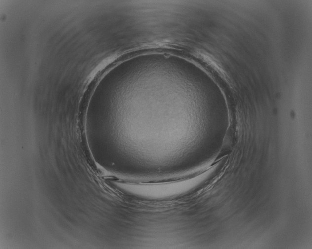 X0000068321308200605051546