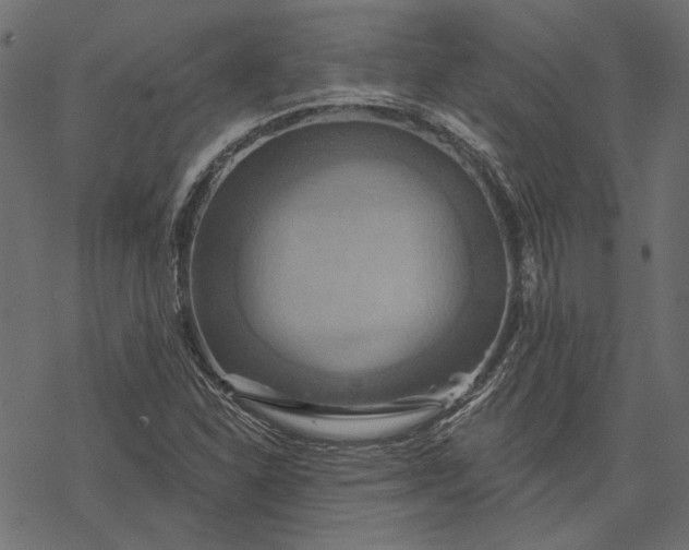 X0000068321310200605051546