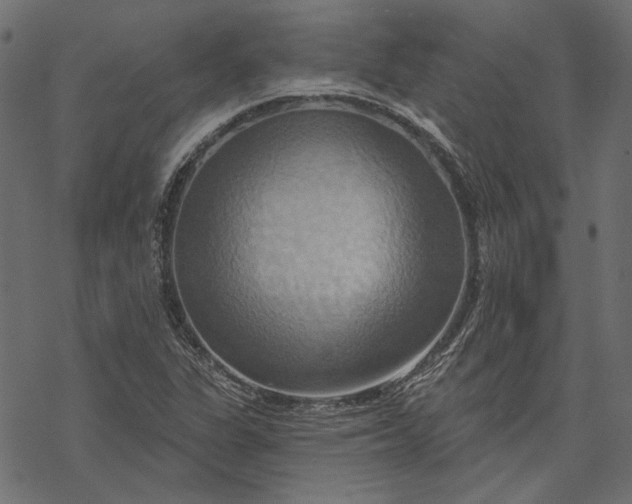 X0000068321311200605051546