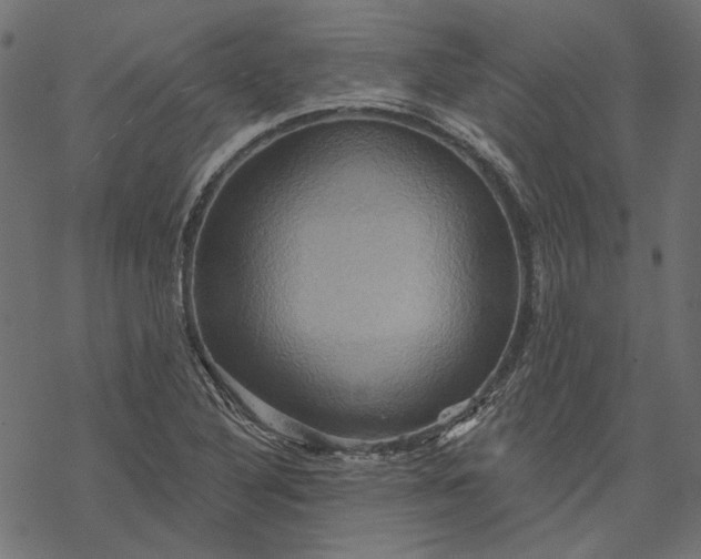 X0000068321316200605051546