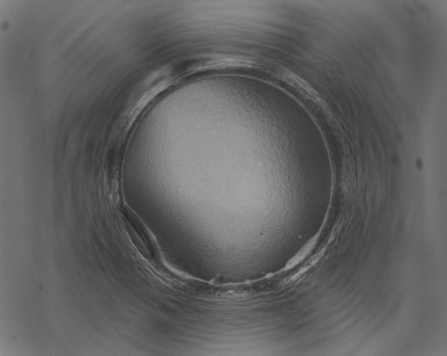 X0000068321321200605051546